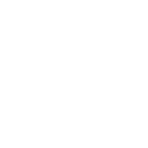 logo velobike blanc